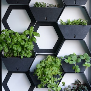 3D Printed Hexagon Self-watering Wall Planters