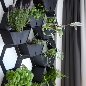 3D Printed Hexagon Self-watering Wall Planter 4 and 5 Sets