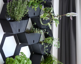3D Printed Hexagon Self-watering Wall Planter 4 and 5 Sets
