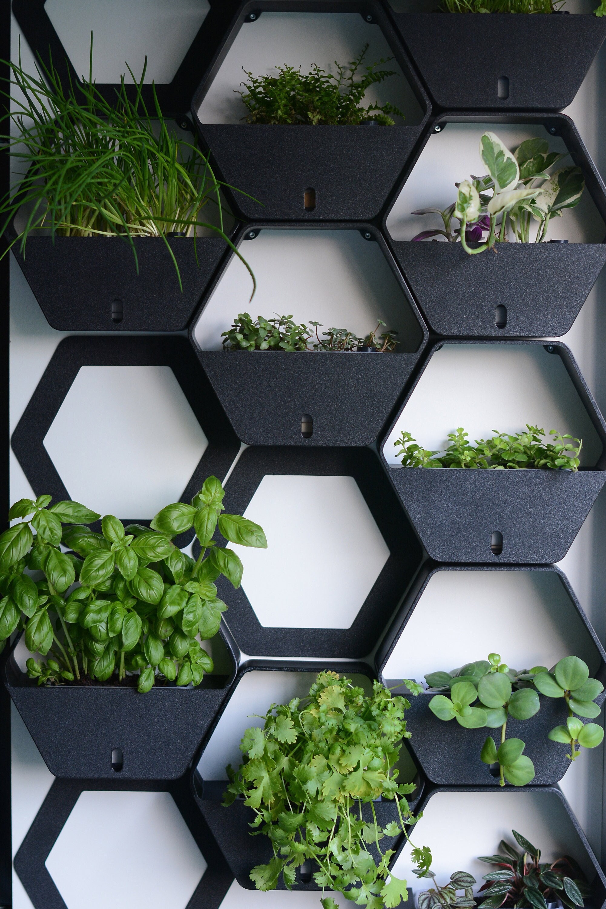 DCN Harmony Self-Watering Tall Patio Planter - Black (DCN350836)