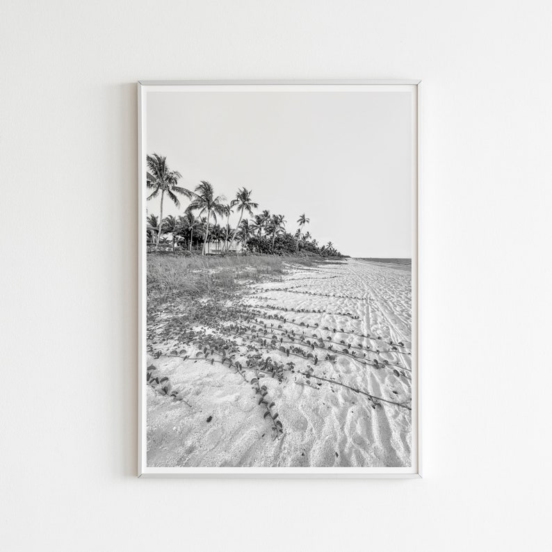 Naples Florida Print Set of 6, Black and White Naples Florida Map