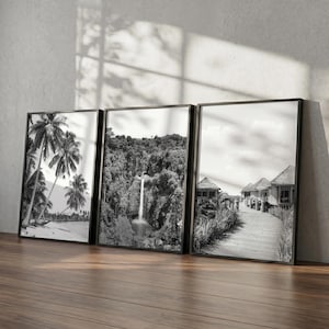 Pode incluir: Conjunto de três impressões emolduradas em preto e branco de paisagens. As impressões retratam uma praia com palmeiras, uma cachoeira em uma floresta e um calçadão com bangalôs. As molduras são pretas.