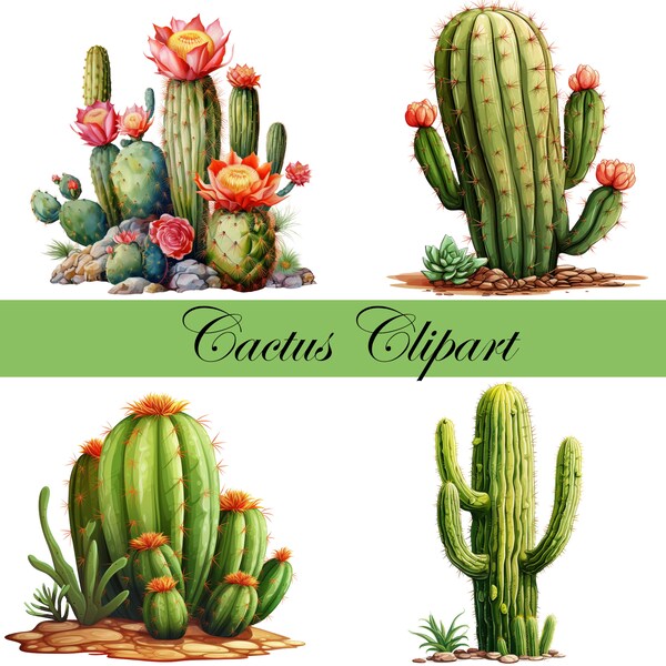 Cactus Clipart, Digitaler Download, Kaktus Clip Art, digital graphic