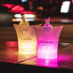 Evalen Tulips Ice Bucket