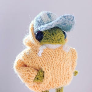 May include: A knitted frog doll, dressed in a yellow hoodie and a blue and white striped hat. The frog has large black eyes and green skin. A charming, whimsical handmade item.
