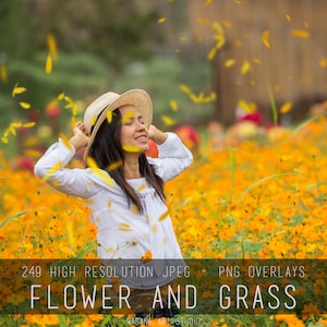 Grass and Flowers overlays, realistic Grass, flowers Transparent PNG , Overlay for Adobe Photoshop