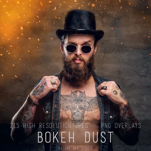 Bokeh Dust Overlay, Cinematic Dust Overlays, Sparkling dust, Photoshop overlay, floating dust, Digital Download for editing photographic