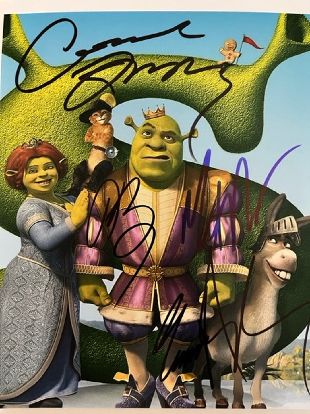 SHREK Cast Signed 8 X 10 Photo - Etsy