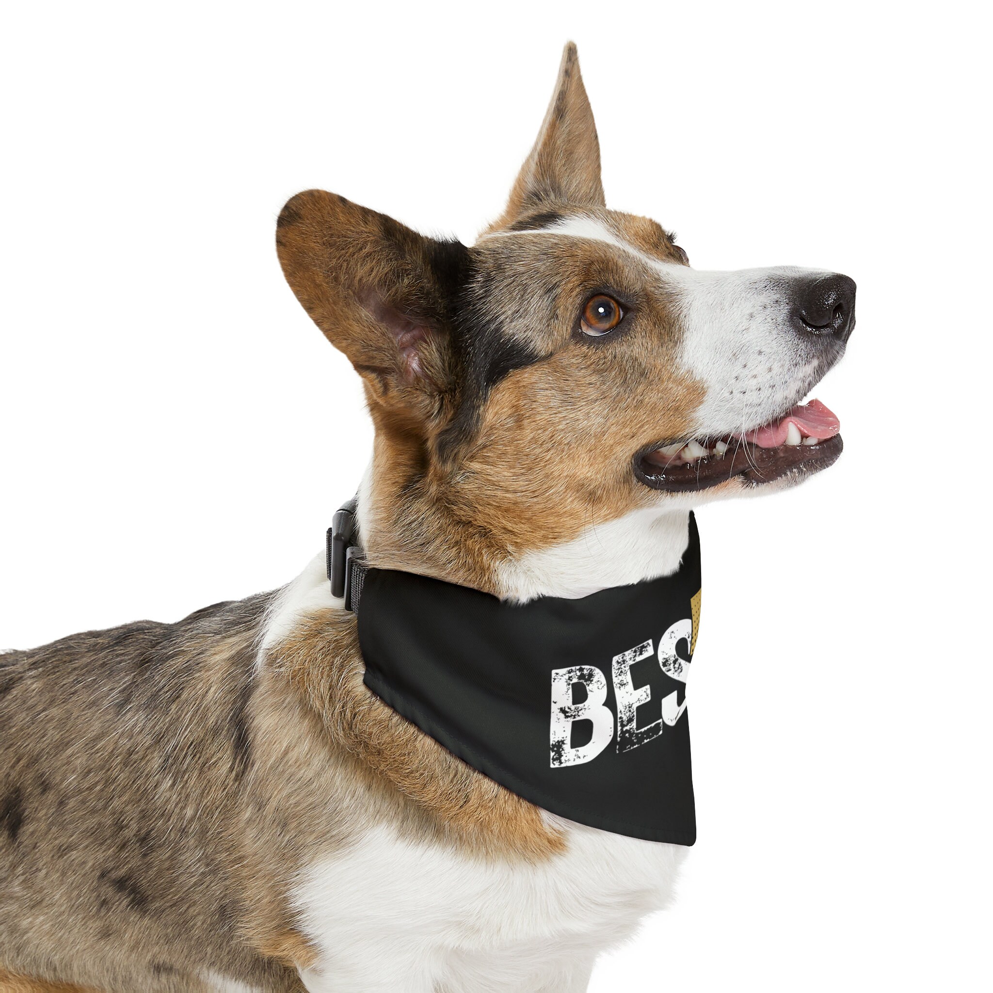 Personalized Dog Bandana Snapon Dog Bandana Custom Pet Bandana New