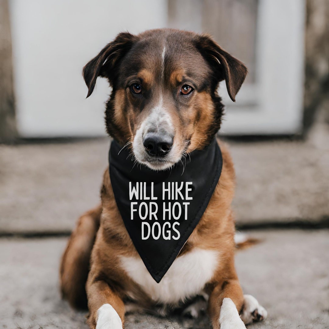 Hiking Bandana, Funny Dog Bandana, Gift for Hiker, Hiking Lover Gift, Dog Lover Gifts Etsy