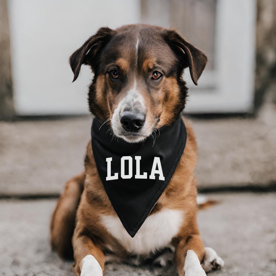 Custom Dog Name Bandanas, Create Your Own Pet Accessories, Personalized