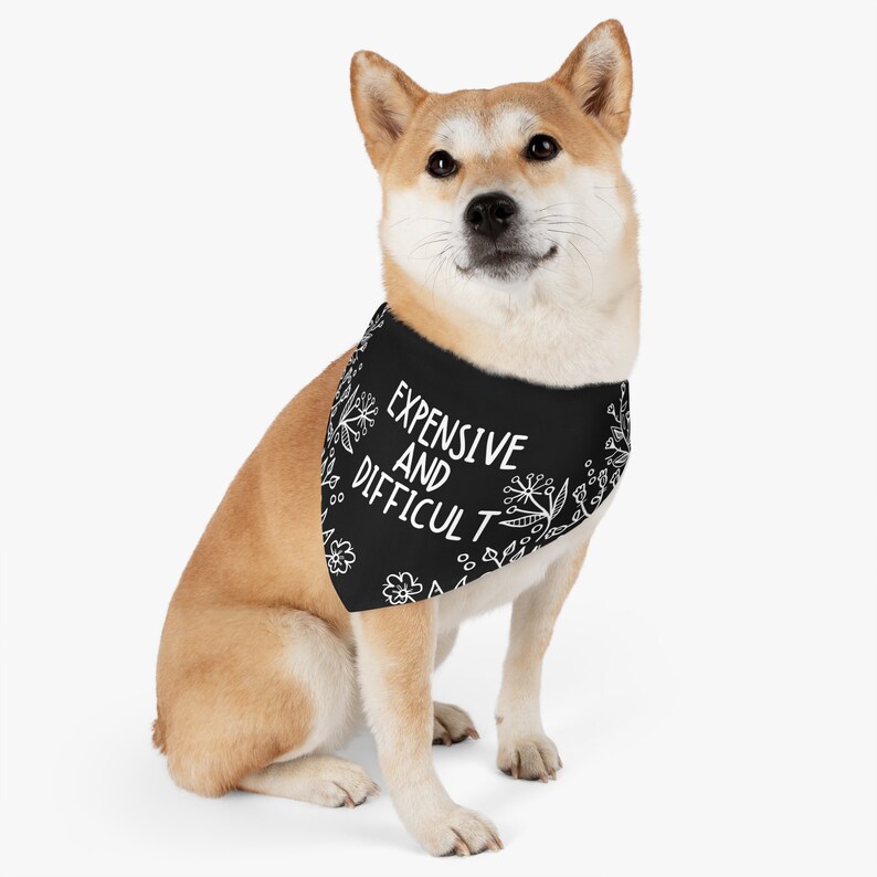 Funny Dog Bandana, Funny Cat Bandana, Dog Bandana Cute Dog Bandana Over