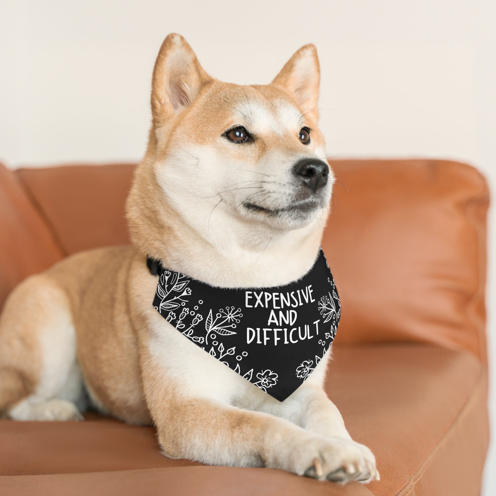 Funny Dog Bandana, Funny Cat Bandana, Dog Bandana Cute Dog Bandana Over