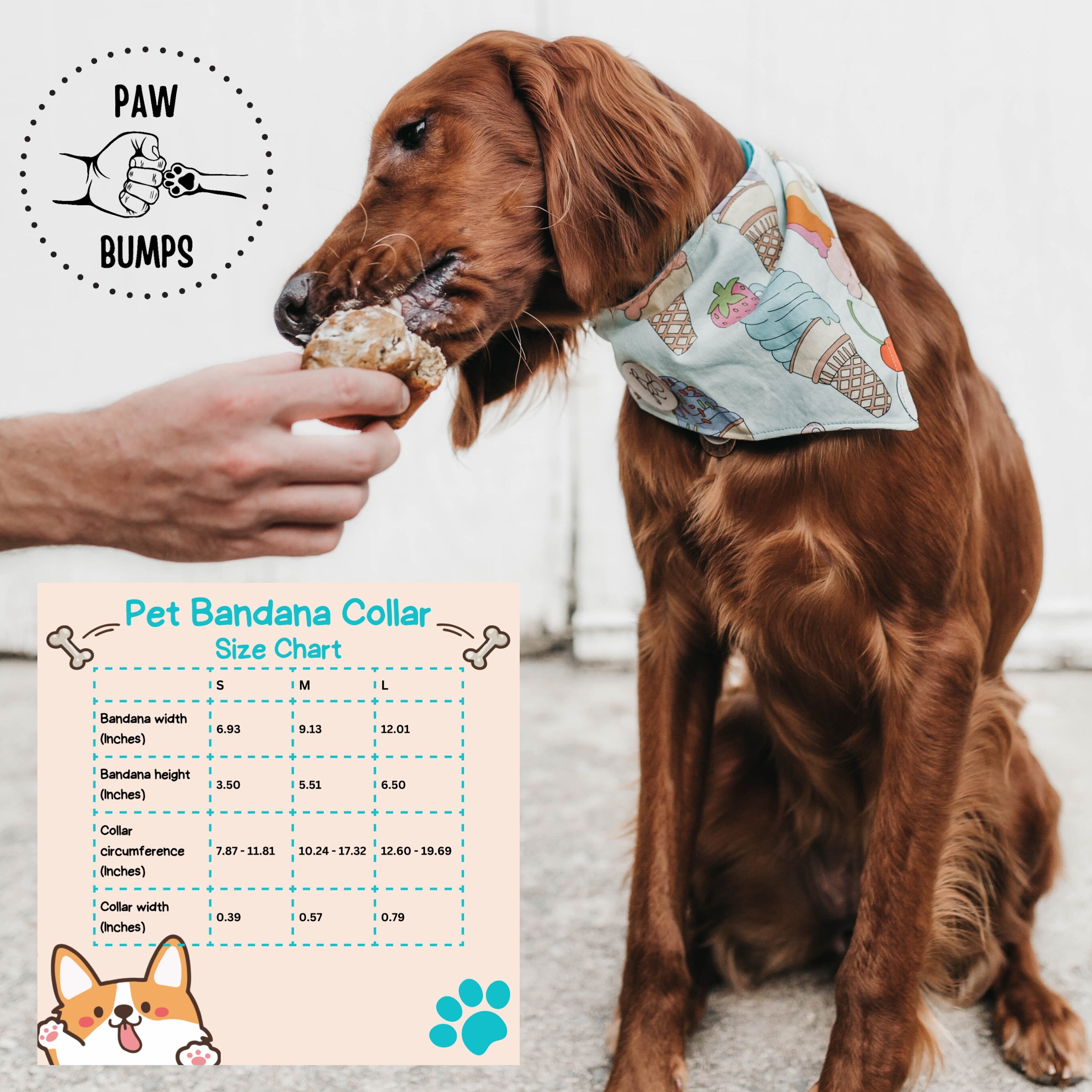 Custom Dog Bandana With Collar, Personalized Dog Bandana, Funny Dog