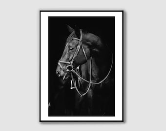 Stampa fotografica di cavallo nero: arte murale equestre (download digitale)