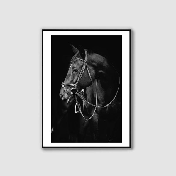 Black Horse Print, Black and White, Black Horse Printable, Black Horse Photography, Wall Posters Art, Printable Wall Art, DIGITAL DOWNLOAD