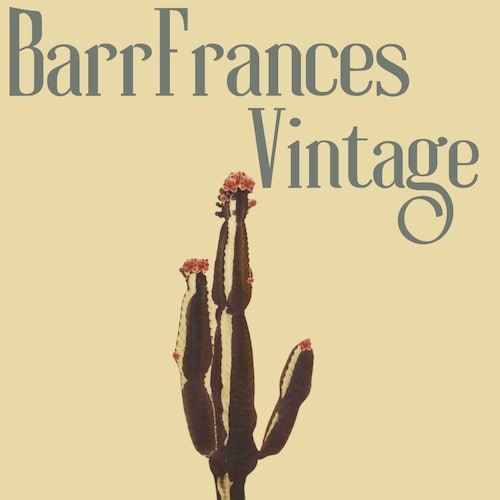 BarrFrancesVintage - Etsy