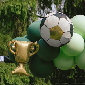 May include: A gold trophy balloon and a soccer ball balloon are surrounded by green and light green balloons. The balloons are arranged in front of a green background, possibly a soccer net.