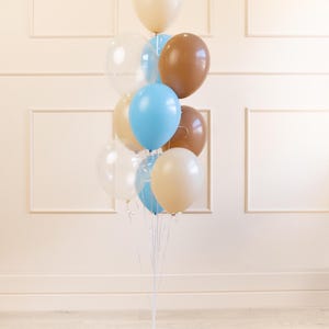 K&ouml;nnte beinhalten: Ein Strau&szlig; Ballons in Braun-, Blau- und Beiget&ouml;nen. Die Ballons sind mit einem durchsichtigen Band zusammengebunden und zu einem B&uuml;ndel angeordnet.