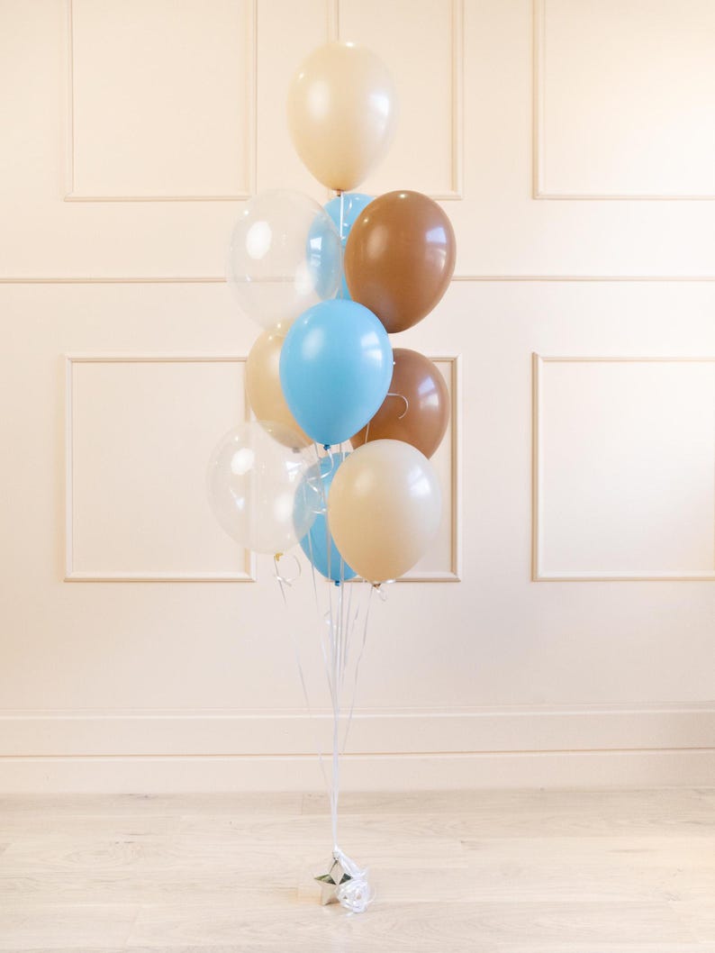 K&ouml;nnte beinhalten: Ein Strau&szlig; Ballons in Braun-, Blau- und Beiget&ouml;nen. Die Ballons sind mit einem durchsichtigen Band zusammengebunden und zu einem B&uuml;ndel angeordnet.