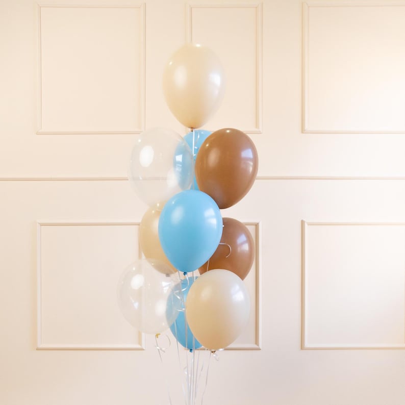 K&ouml;nnte beinhalten: Ein Strau&szlig; Ballons in den Farben Braun, Blau und Klar. Die Ballons sind mit einem durchsichtigen Band zusammengebunden.