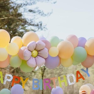 May include: A colorful birthday party scene with a balloon arch featuring pastel balloons and flower-shaped decorations. A banner spells out "HAPPY BIRTHDAY" and a ladybug balloon floats in the air. The scene is set outdoors.
