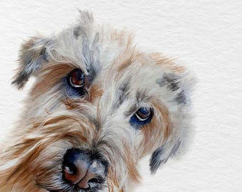 May include: A watercolor painting of a scruffy dog with tan and brown fur, dark eyes, and a black nose, looking upward. The artwork features a textured white background and includes the text hand painted in a small rectangular frame at the bottom.
