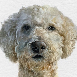 Custom pet portrait, handmade watercolor portrait from photo, pet art, customized dog cat paintings, pet portrait gift image 7