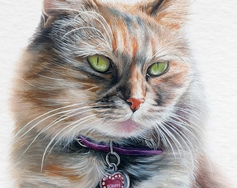 Custom cat portrait from photo, Cat Watercolor painting, Hand painted portrait, Memorial pet portrait gift, framing options