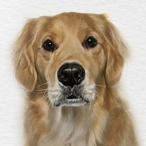 Custom watercolor pet portrait, pet portrait from photo, watercolor pet portrait, family dog portrait, handmade gift, pet loss painting