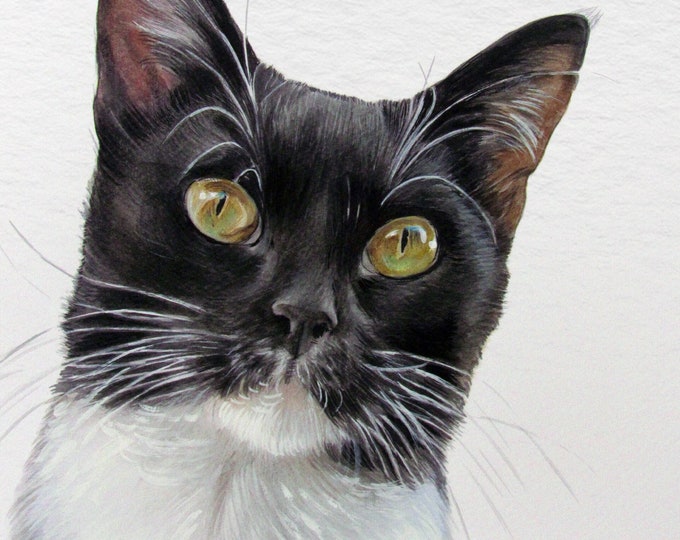 Custom cat portrait from photo, Cat painting, Cat Watercolor portrait, Hand painted portrait, Memorial cat portrait gift,