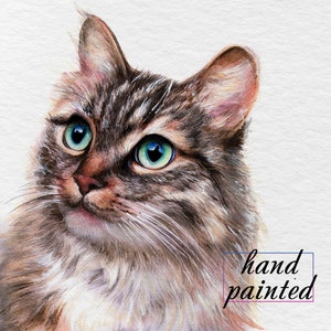 Custom cat portrait from photo, Cat Watercolor painting, Hand painted portrait, Memorial pet portrait gift, framing options