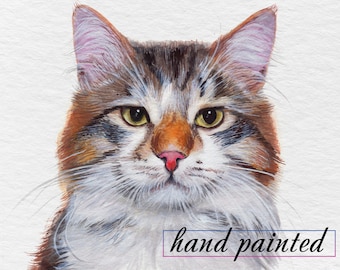 Custom cat portrait from photo, Cat Watercolor painting, Hand painted portrait, Memorial cat portrait gift, framing options