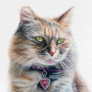 Ritratto di gatto personalizzato da foto, dipinto ad acquerello di gatto, ritratto dipinto a mano, regalo di ritratto di animale domestico commemorativo, opzioni di incorniciatura