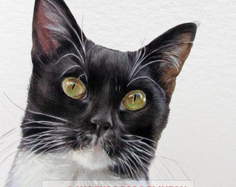 Custom Cat Watercolor Portrait, Hand Painted Pet Memorial