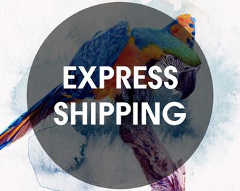Express Shipping