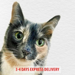 Dipinto personalizzato da foto, dipinto ad acquerello di gatto, ritratto dipinto a mano, regalo di ritratto di animale domestico commemorativo, opzioni di incorniciatura