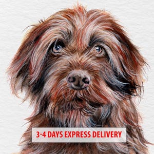 Custom pet portrait, dog portrait from photo, pet portrait from photo, watercolor pet portrait, handmade portrait, pet loss painting