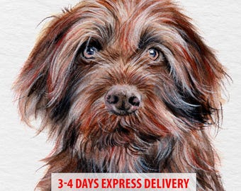 Custom pet portrait, dog portrait from photo, pet portrait from photo, watercolor pet portrait, handmade portrait, pet loss painting