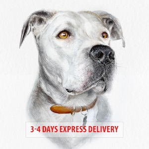Custom dog portrait, pet portrait from photo, watercolor pet portrait, handmade dog portrait, handmade painting, pet loss gift, dog painting