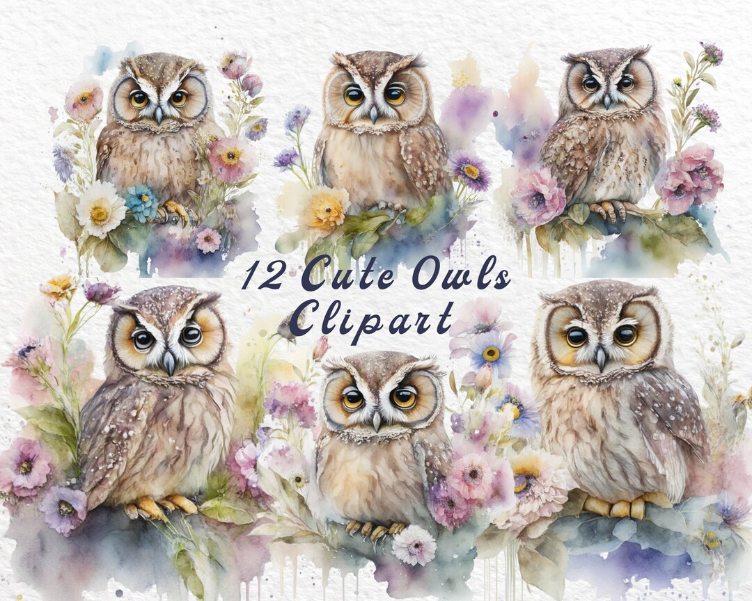 Whimsical Woodland Watercolor Owls Flowers Digital Clipart for - Etsy