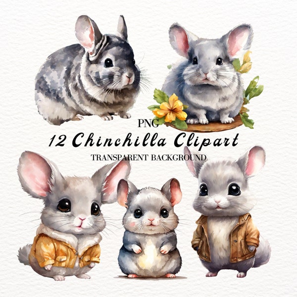 Chinchilla Clipart, PNG, Adorable Wild Animal, Printable Cartoon, Nursery Wall Art, Children Decoupage, Rodents