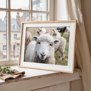 Kudde schapen Art Print, Art Print, boho muurkunst, moderne abstracte muurkunst, minimale muurkunst, wanddecoratie
