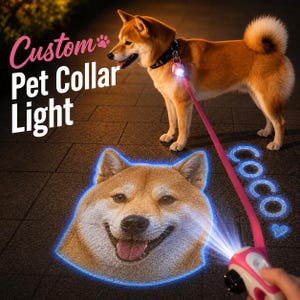 May include: A custom pet collar light attached to a black collar on a Shiba Inu dog. The device projects a bright blue light image of a dog face and the name Coco onto the ground. The text Custom Pet Collar Light is visible in the upper left corner.