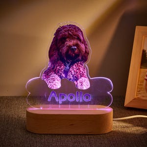 Personalized Pet Shaped LED Night Light – Custom Dog Name Table Lamp, Pet Memorial Light, Cute Dog Lamp Gift for Pet Owners & Lovers
