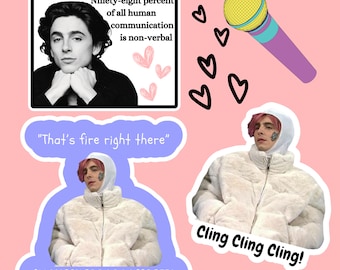 Timothee Chalamet Inspired Stickers - 2 designs to choose from