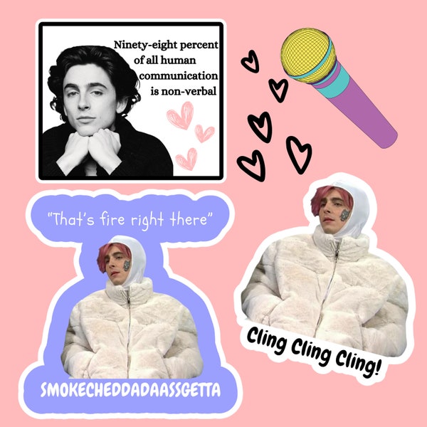 Timothee Chalamet Inspired Stickers - 2 designs to choose from