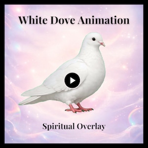 May include: A white dove with pink feet and a black eye, centered against a soft, ethereal, light-colored background. The text White Dove Animation appears at the top, and the text Spiritual Overlay appears at the bottom of the image.