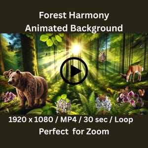 Puede incluir: Fondo animado digital titulado "Forest Harmony" que presenta una escena de bosque con un oso, un ciervo, un búho y otros animales salvajes. El vídeo tiene una resolución de 1920 x 1080, formato MP4, dura 30 segundos y está en bucle. El texto de la imagen dice "Perfect for Zoom."