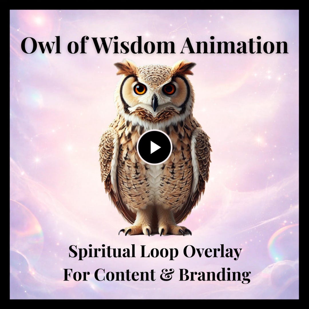 Wisdom Loop Spiritual Owl Animation Loop Overlay (webm, MP4, PNG), Wisdom Content ...